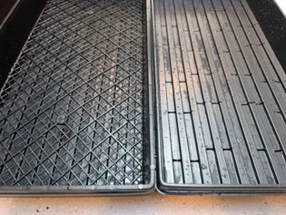 Two microgreen growing trays, side by side.