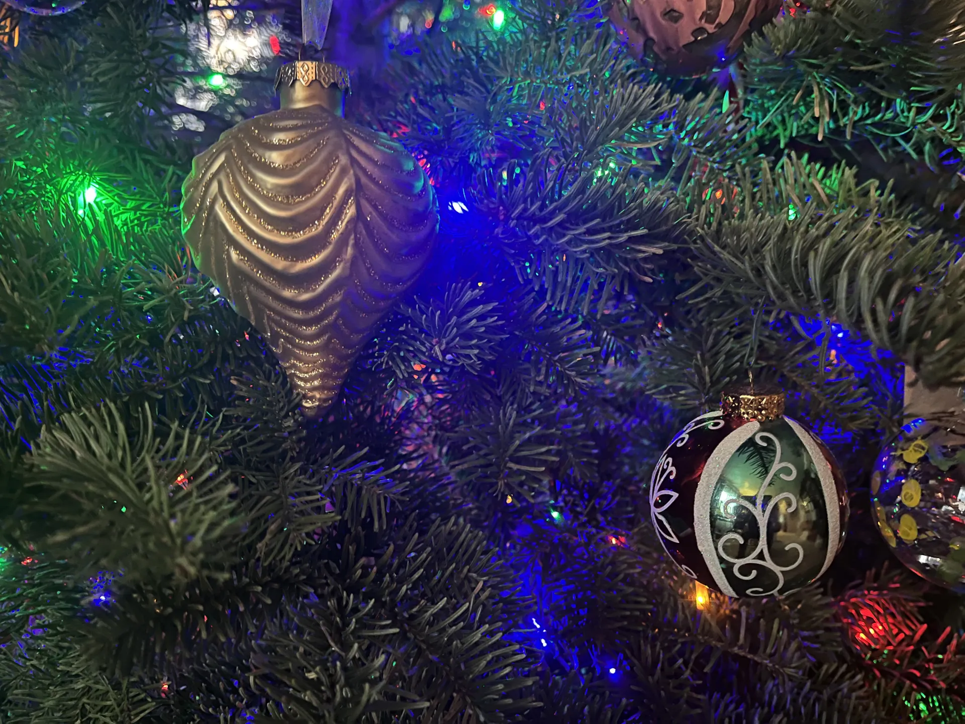 A close-up of shiny gold and green holiday ornaments and multicolored lights hanging on a fir tree with bushy, dark-green leaves (needles).