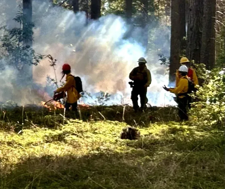 Cal Fire at work