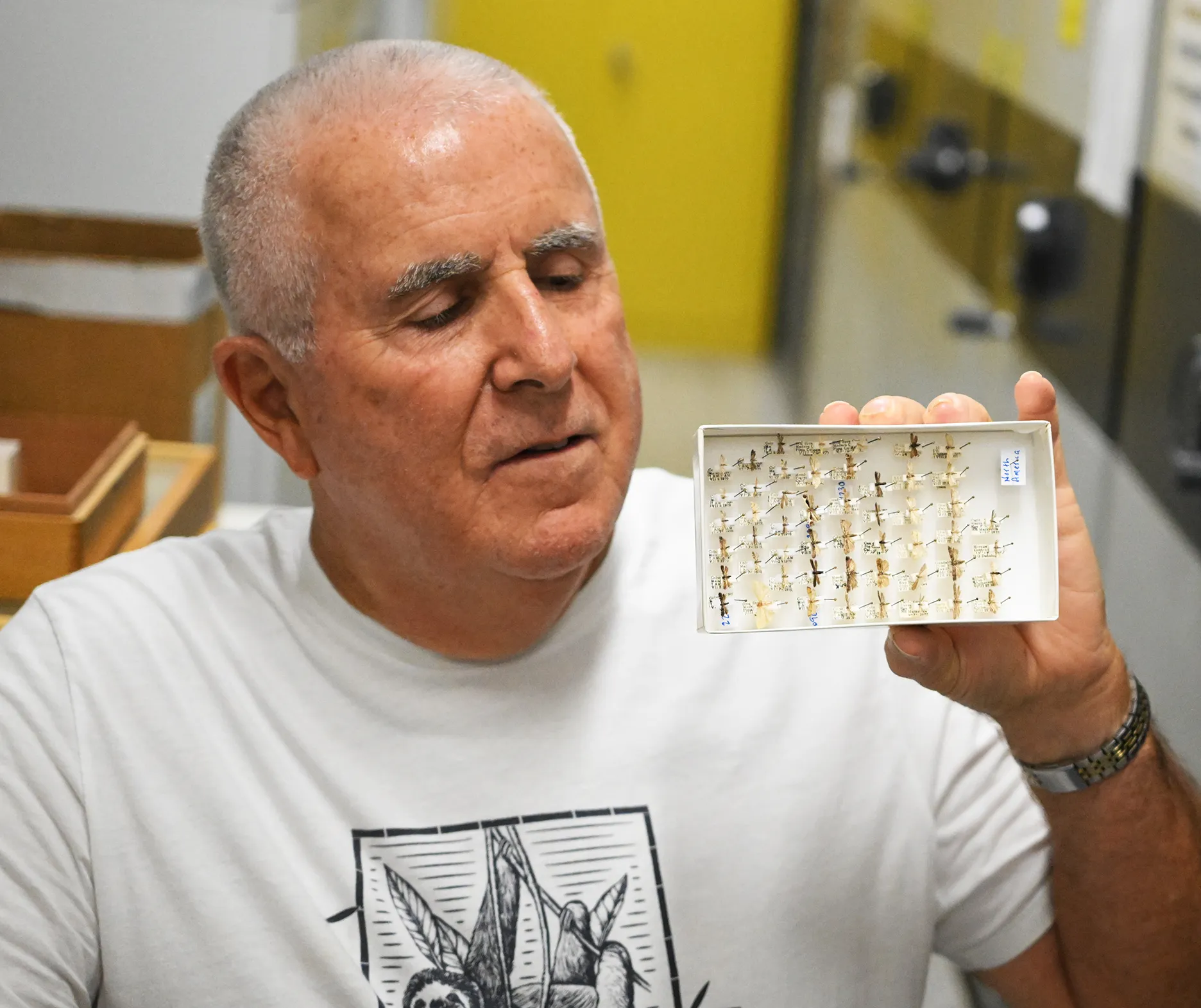 Jeff Smith and some of his moths. (Photo by Kathy Keatley Garvey)