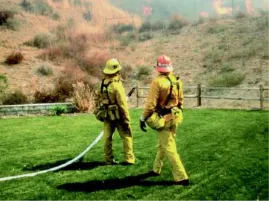 Lawn as a fire buffer
