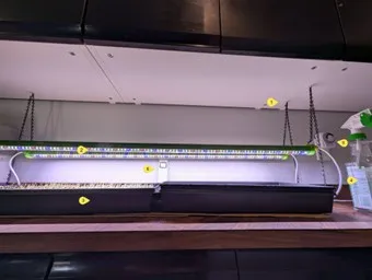 Set up for growing microgrees inclues LED lights, Trays, spray bottle, timer, and thermometer