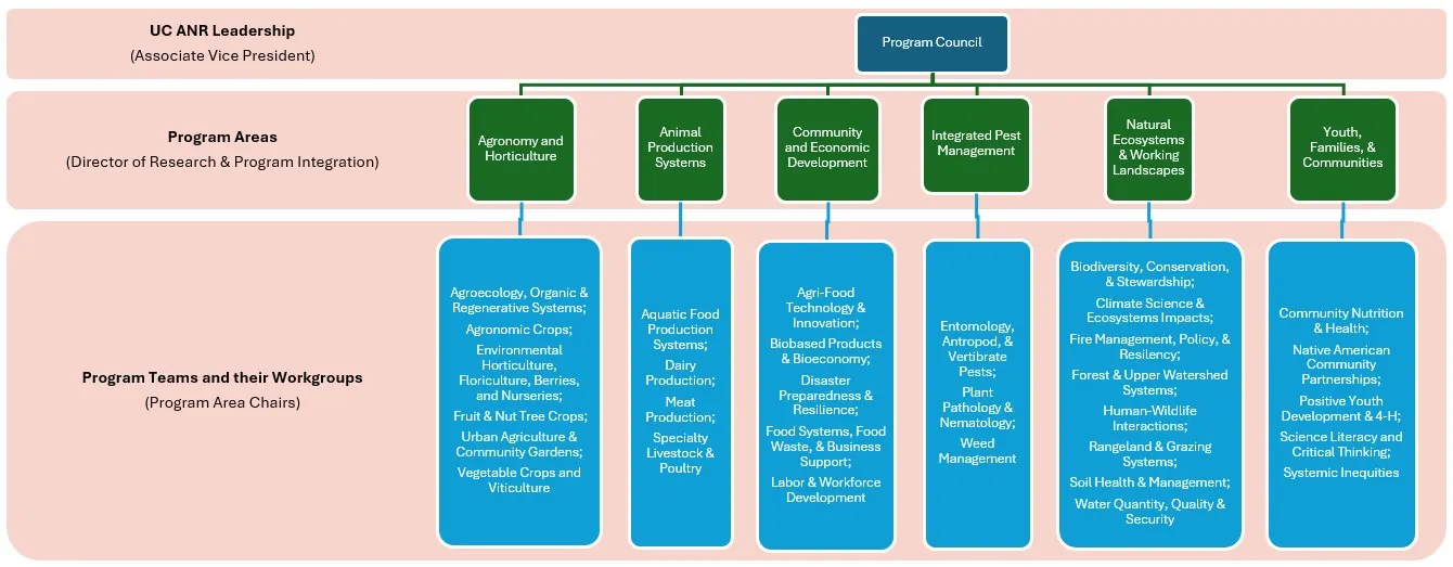 Programmatic Structure Overview