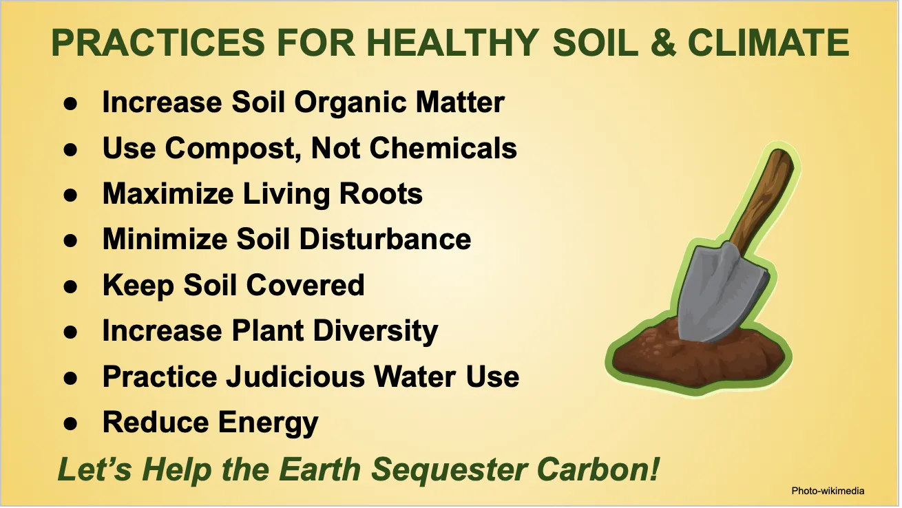 Practices for healthy soil