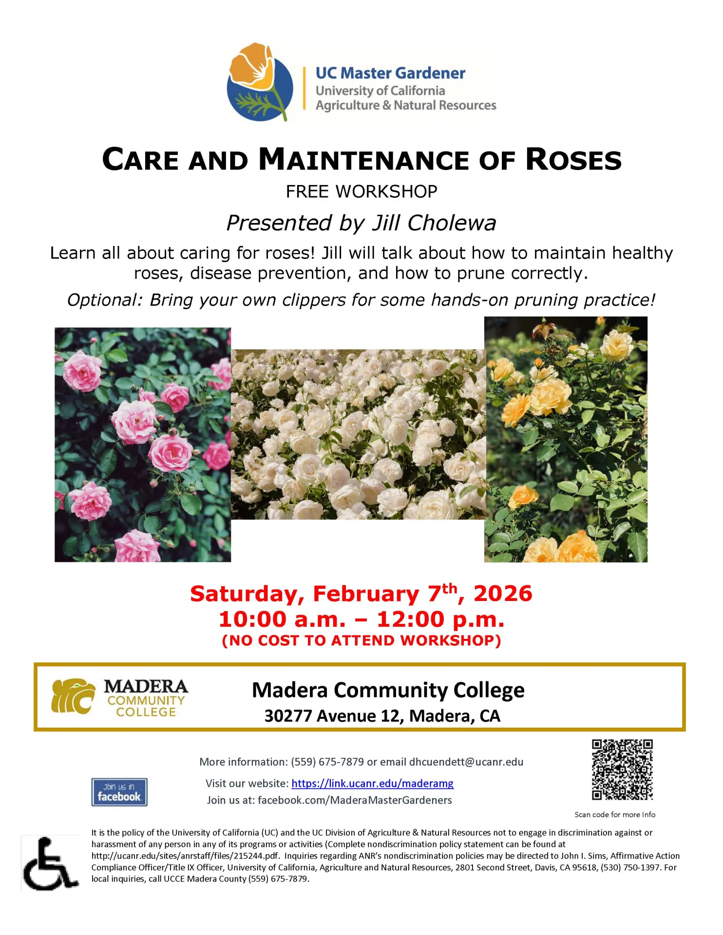 2.7.26 Roses Three Sister Garden 