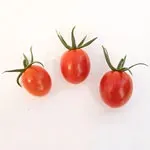 Tomato_Cherry_Cherry Bomb_MGFT_150