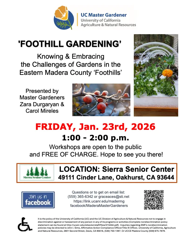 1.23.26 Foothill Gardening Oakhurst