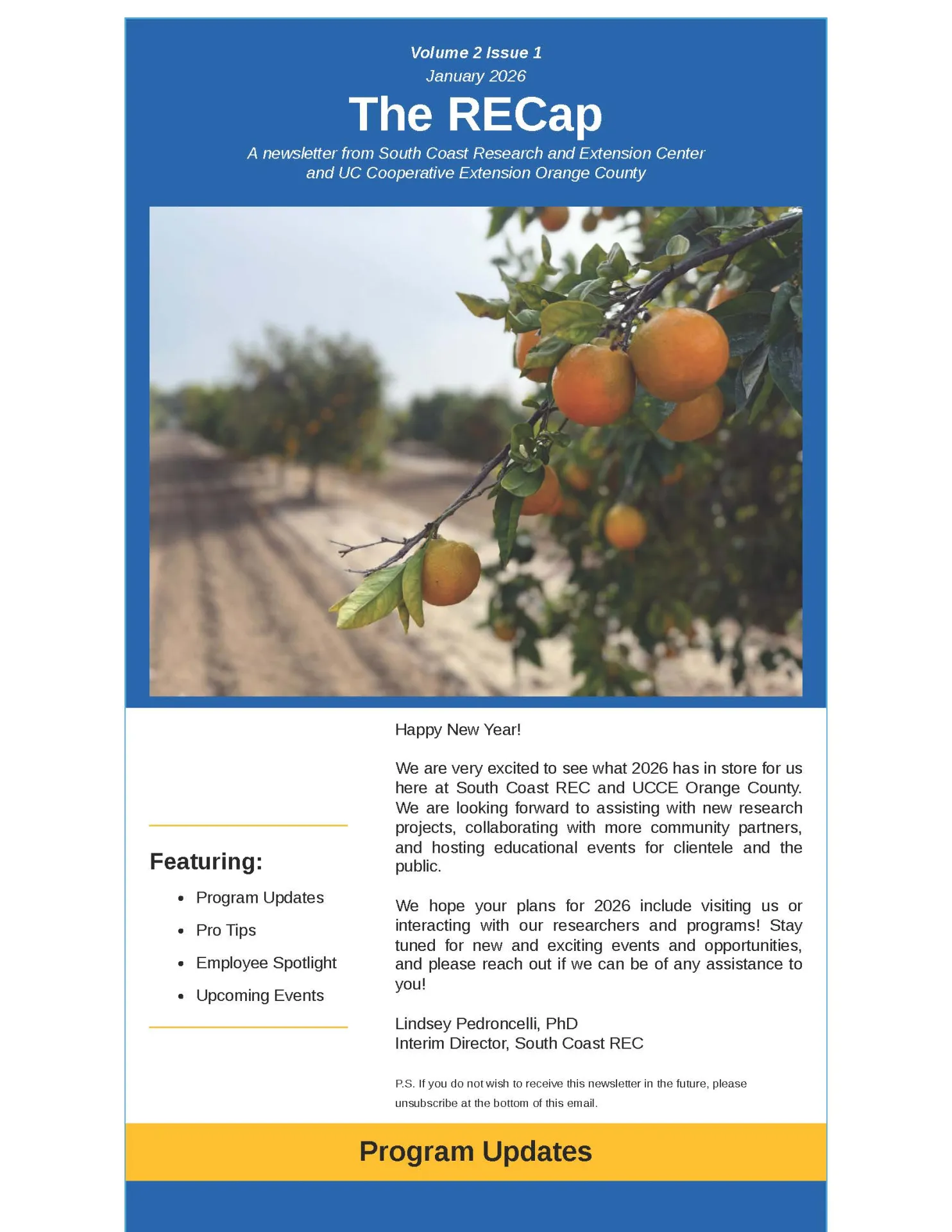 cover page of January 2026 newsletter The RECap