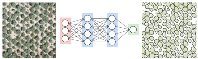 Deep Learning Workflow