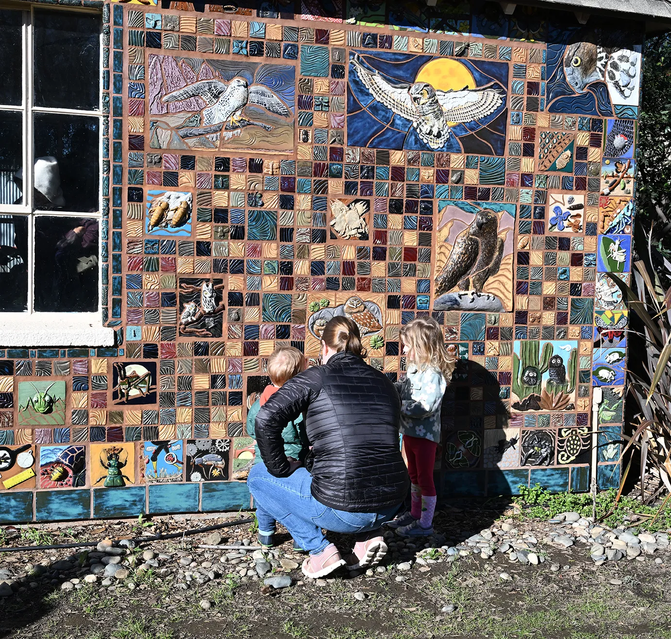 Visitors checking out the "Bird's Eye View" ceramic-mosaic mural at the California Raptor Center. (Photo by Kathy Keatley Garvey)