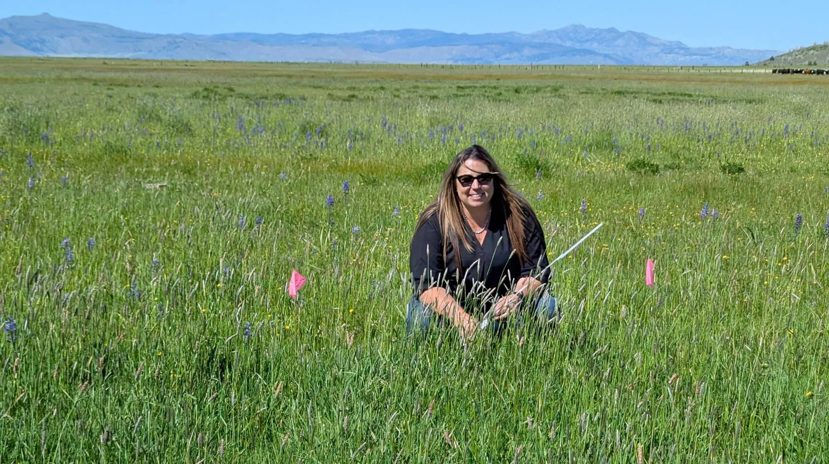 Tracy crouches in a field surrounded by green pasture