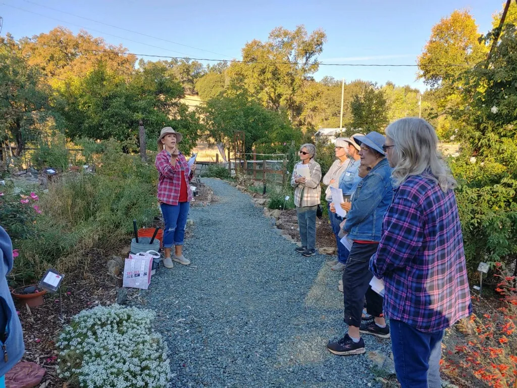 a group of people standing and talking in a garden