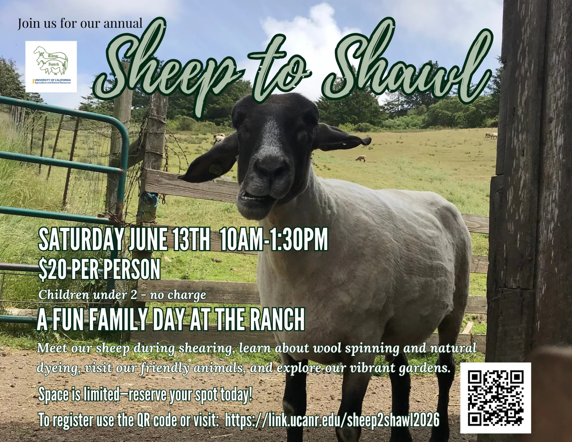 Elkus Event Sheep to Shawl 2026