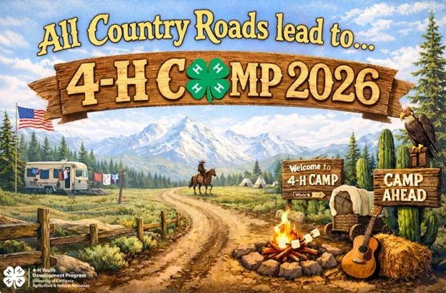 Camp 26 Theme