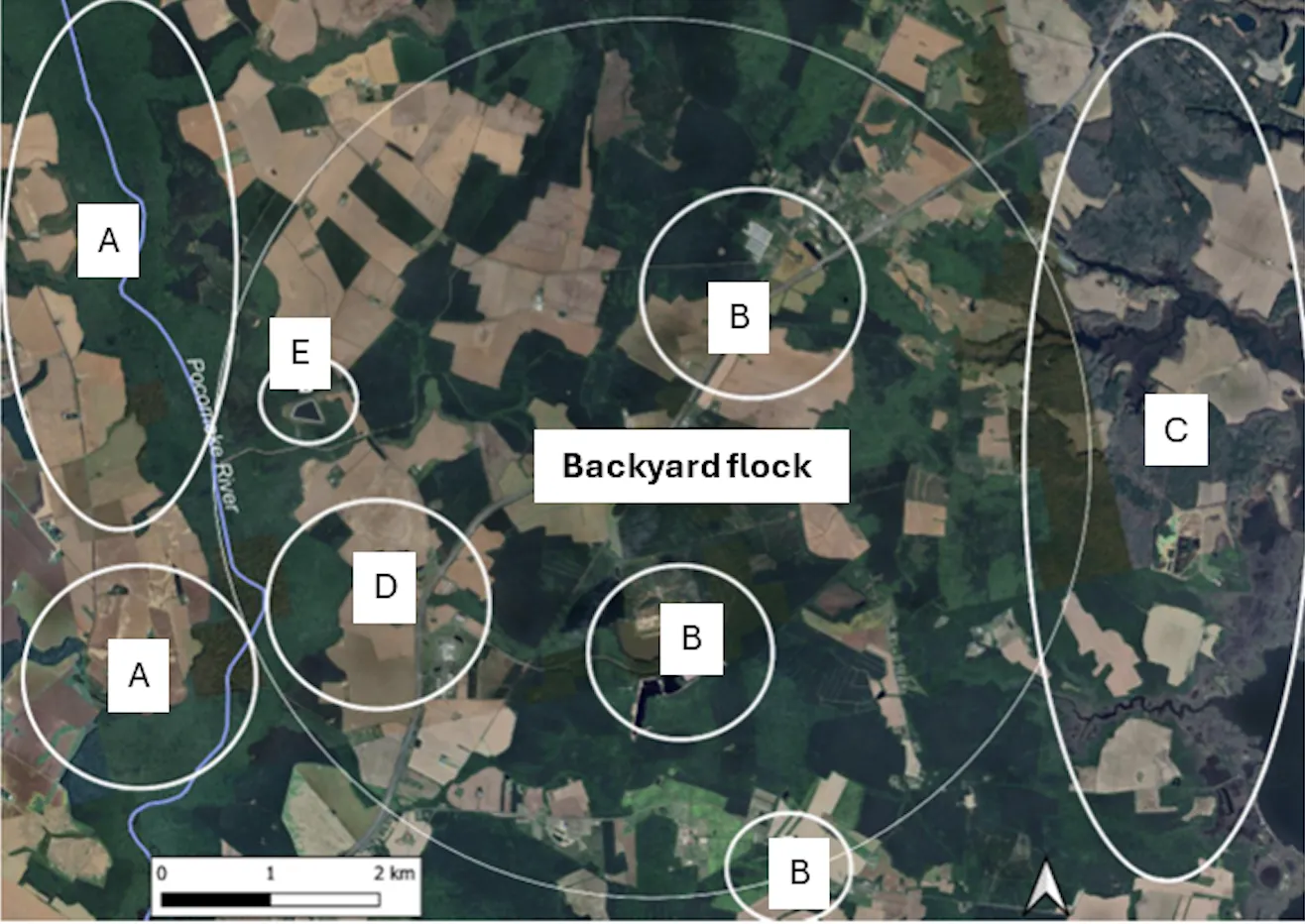 Circles labeled A, B, C, D and E around "Backyard flock" on an aerial view of property 