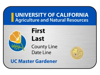 UC Master Gardener Volunteer Namebadge with pin