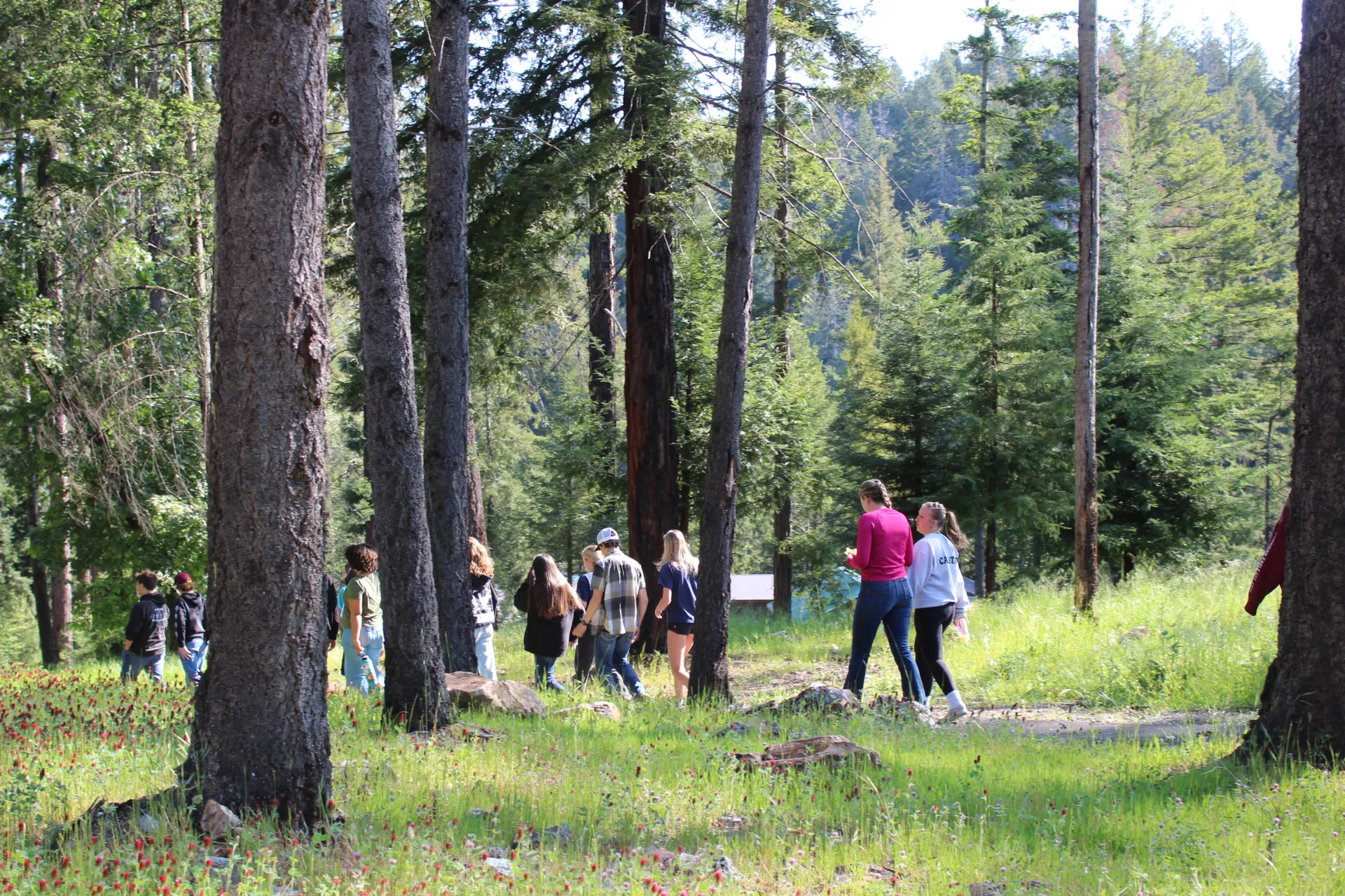 Youth hiking at 4-H Summer Camp.