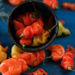 Habanada Hot Pepper