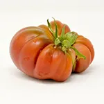 Tomato Slicer Black Krim 150sq