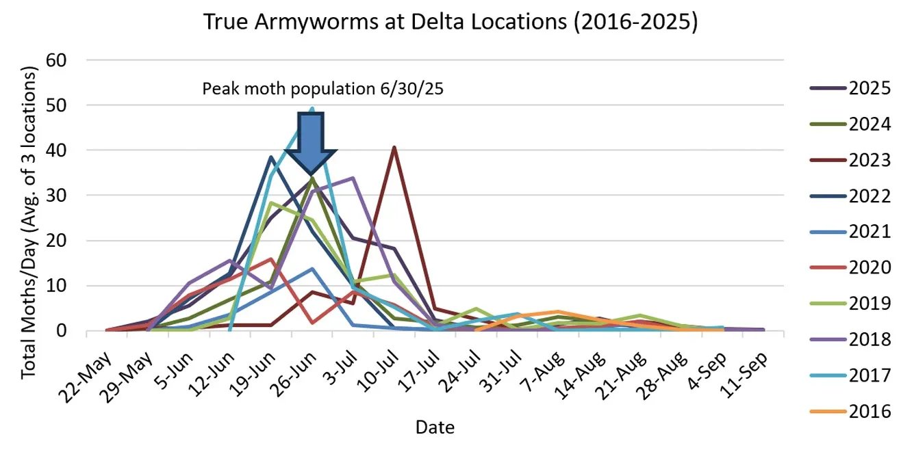 line graphs showing peaks and lows of armyworm populations in the Delta