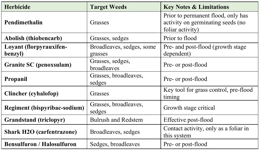 weeds herbicide options postemergence