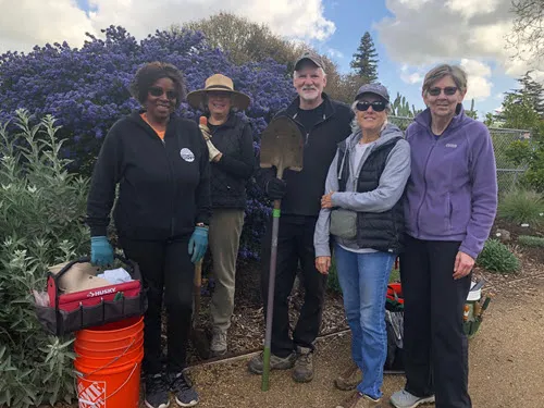 CoCoMGs (L to R) Allison Thomas, Anna Wendorf, Phil Quinlan, Robin Harper and Liz Whiteford gather in front of a stunning California lilac (Ceanothus) at the Gehringer Native Plant Garden in Concord.