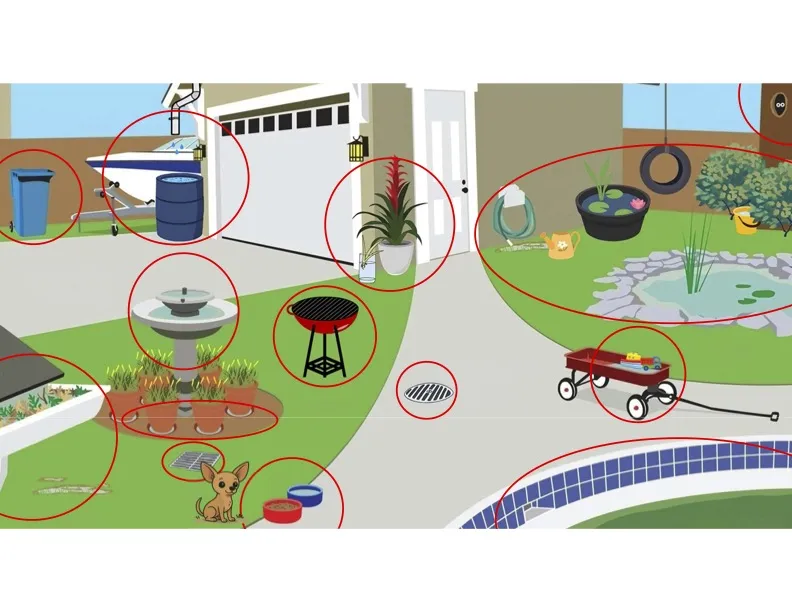 Graphic showing home outdoor sources of mosquitos