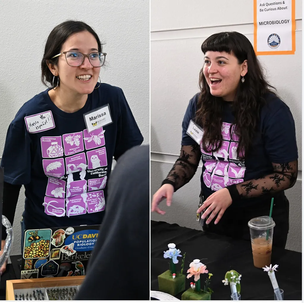Marissa Sandoval (left) of the Santiago Ramirez lab and Lexie Martin of the Rachel Vannette lab discussing bees at the Bohart Museum of Entomology, part of the UC Davis Biodiversity Museum Day. 