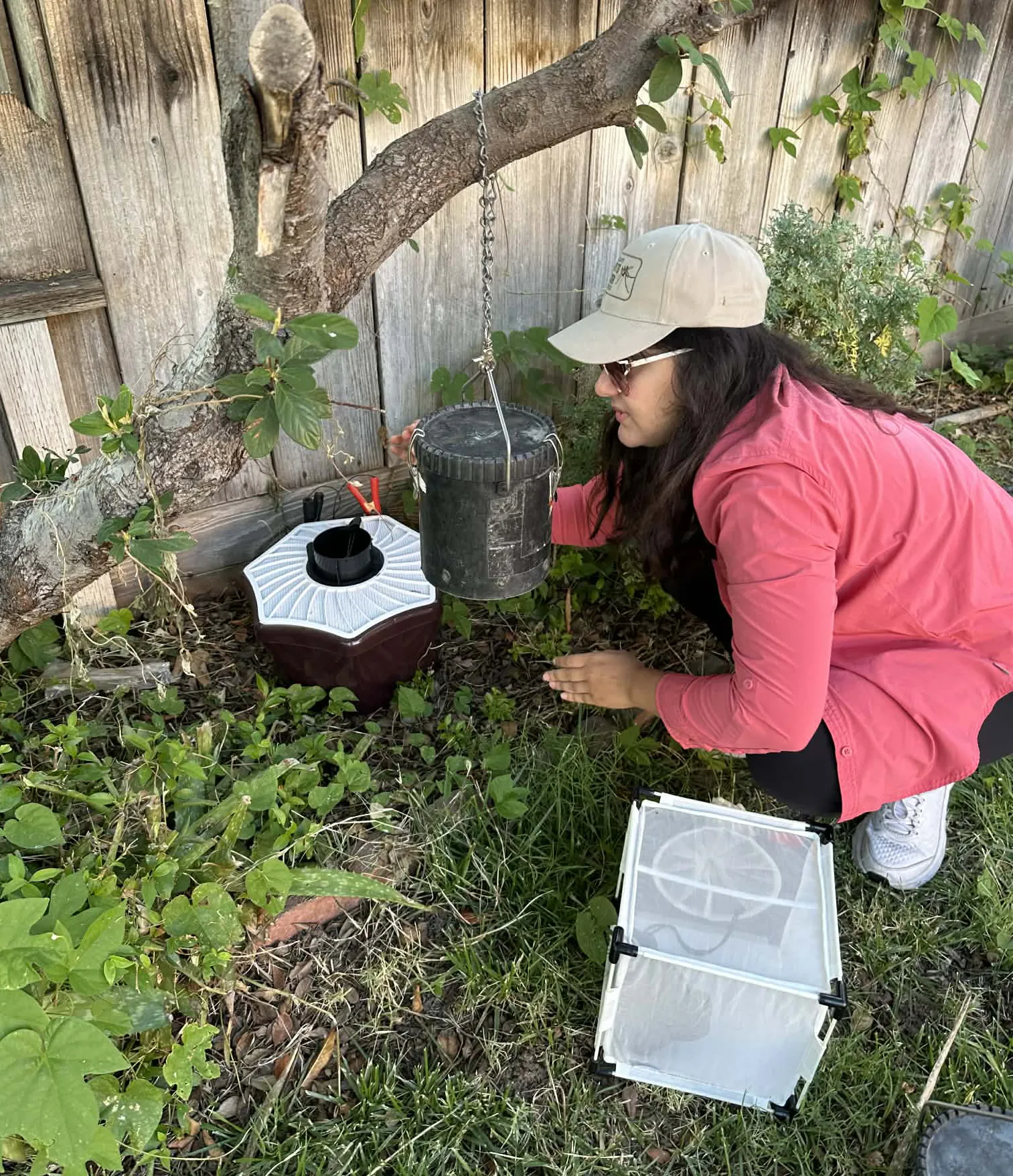 CC Edwards at a residence in Manteca trapping mosquitos using a BG-Mosquitaire trap.