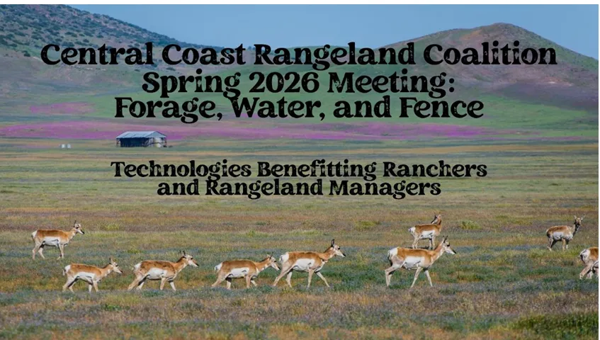 Colorful wildflowers and pronghorn in a grassland with title of workshop