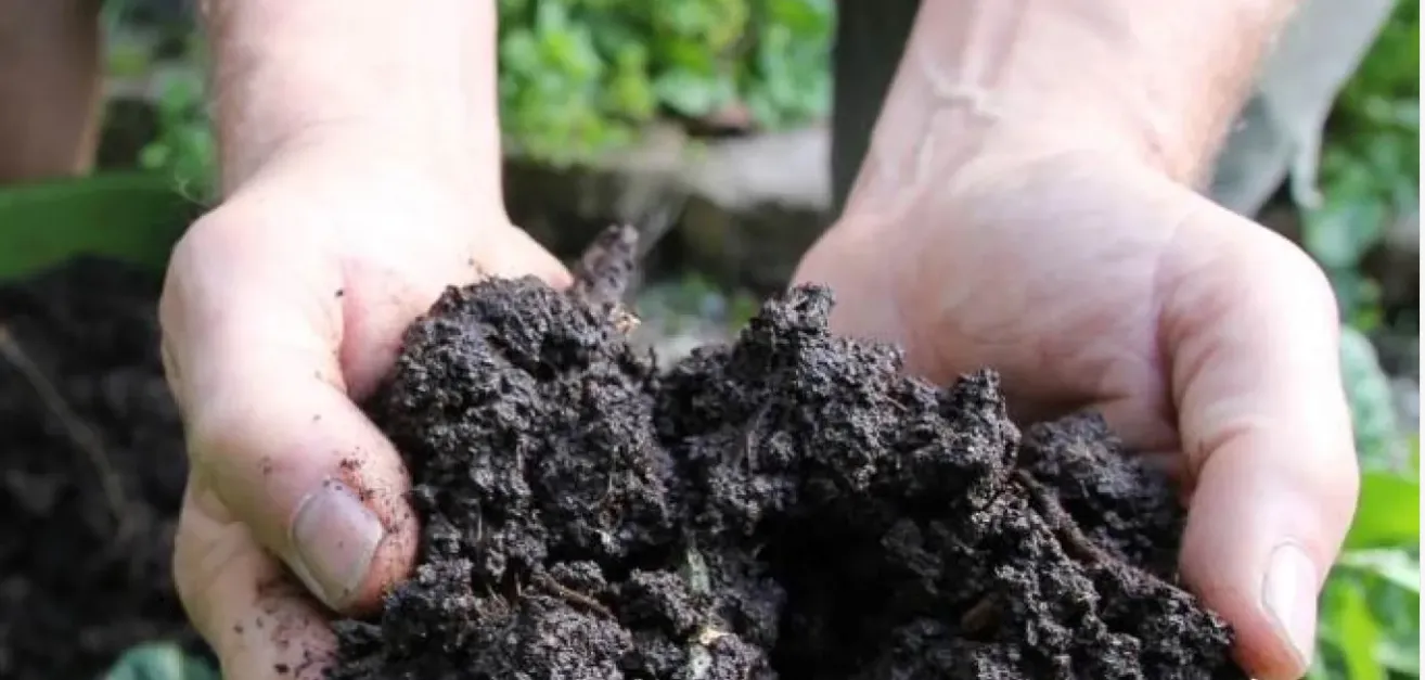 finished compost, courtesy UCANR.edu