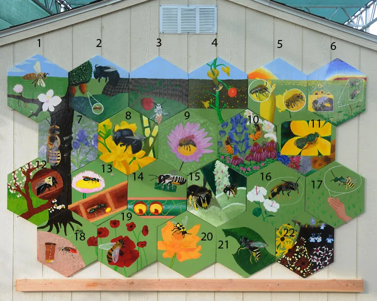 The mural by numbers.