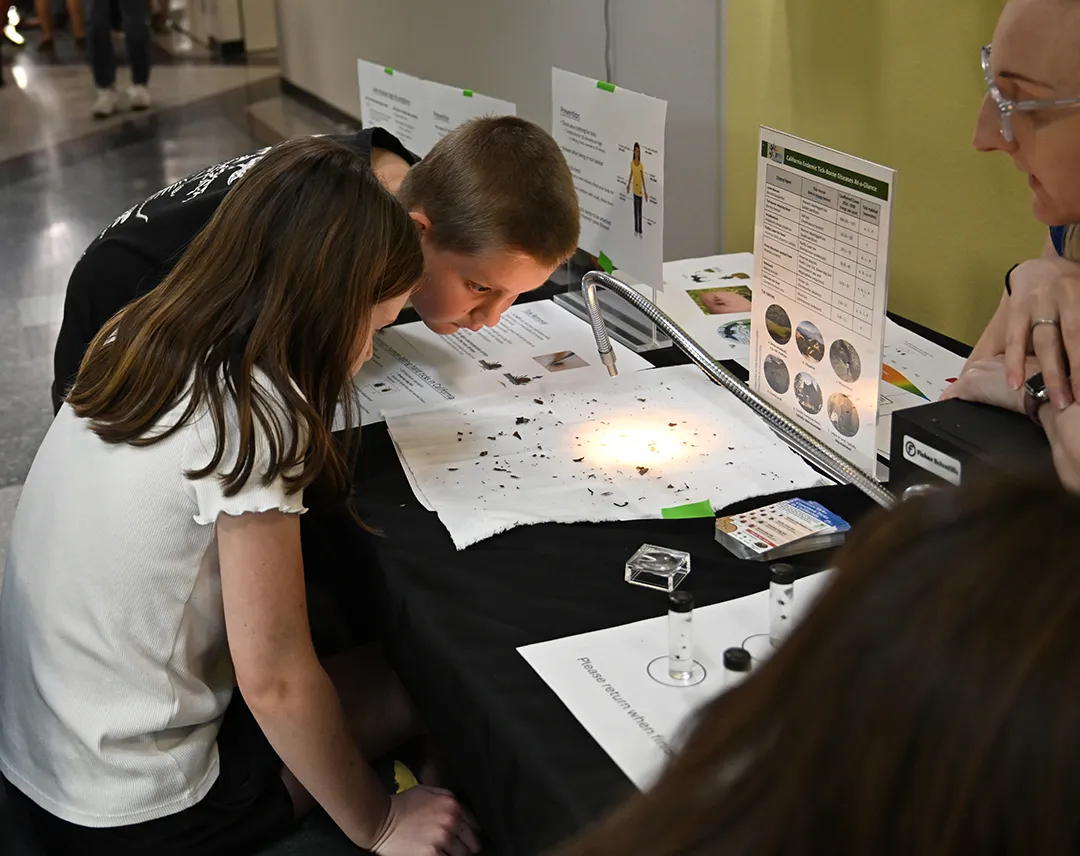 Youngsters are amazed that ticks are so small. (Photo by Kathy Keatley Garvey)