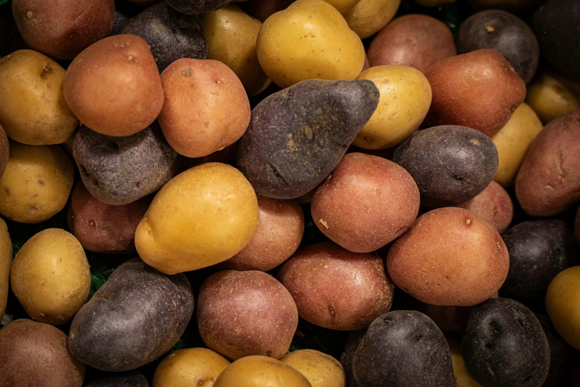 a pile of potatoes in multiple colors