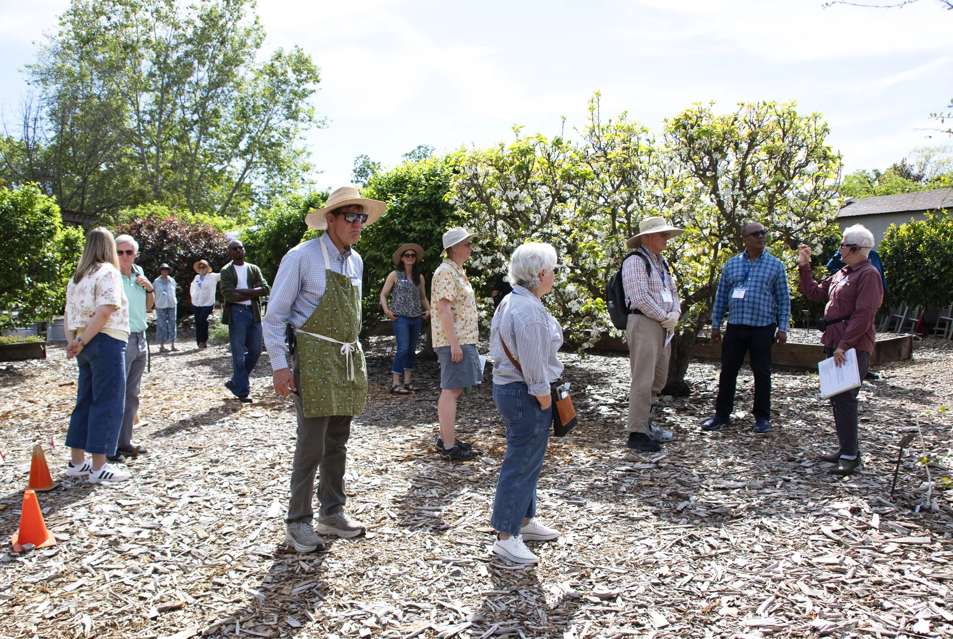 Twelve people stand around a person speaking. They are surrounded by landscape trees