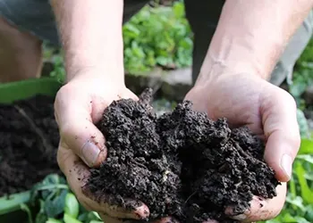 Getting Started with a vegetable Garden, soil preparation, photo by UCANR.edu