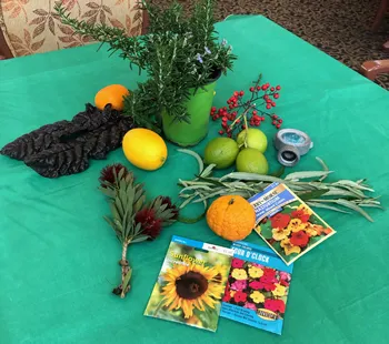 On a green tablecloth are items including seed packets of flowers, a lemon, three limes, an orange, a vase of rosemary, red coleus flowers, and other greens.