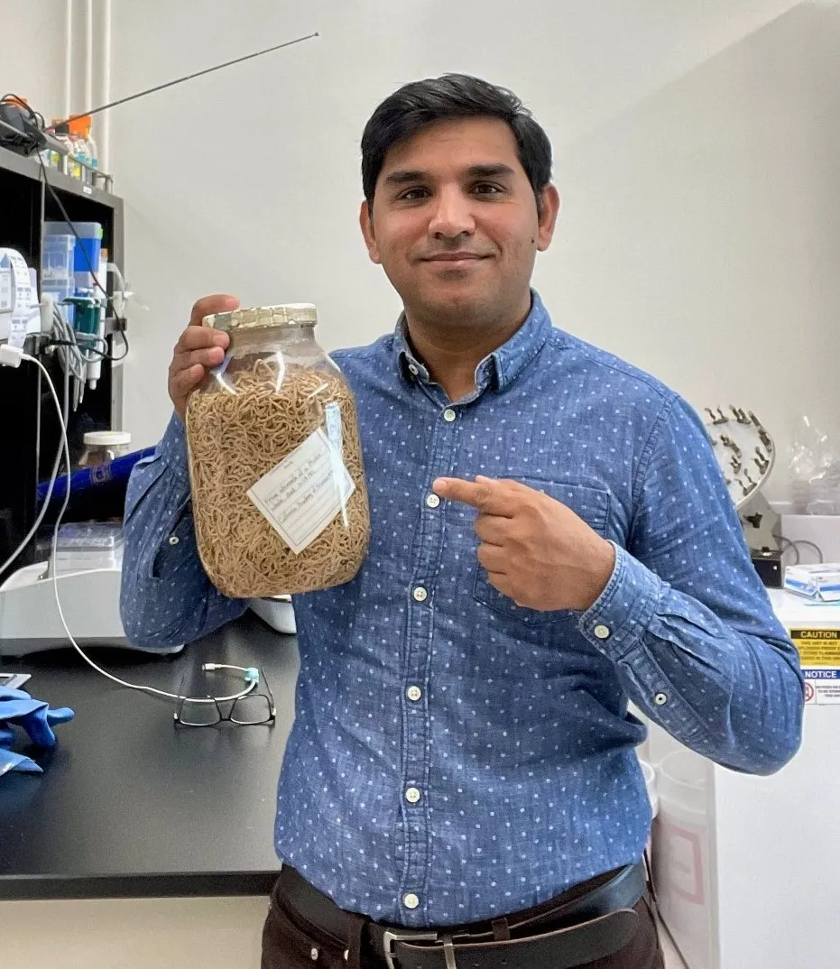 Shahid Siddique holding a jar of nematodes from the stomach of a minke whale that died in 1990. (Exhibit courtesy of the California Academy of Sciences)