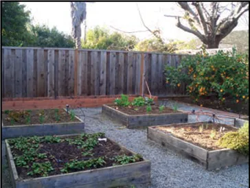 Raised vegetable beds in a garden setting. U.C. Agriculture and Natural Resources photograph