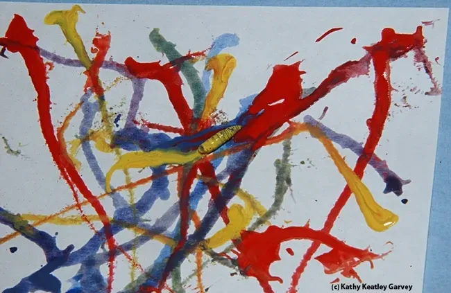 A maggot crawls on white paper. 