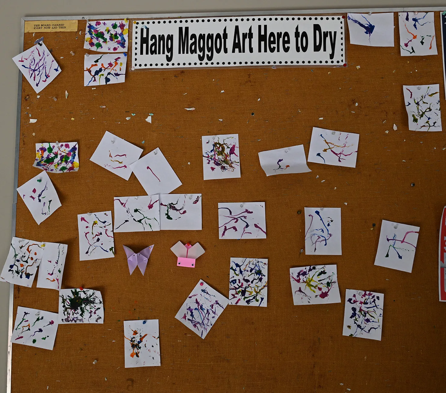 Maggot art drying on a bulletin board in the Briggs hallway.