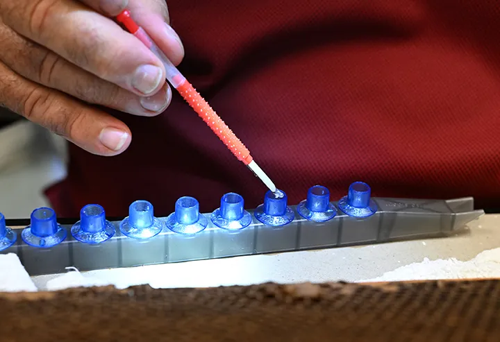 A beekeeper, a student in a UC California Master Beekeeper Program class, transfers larva into a queen rearing cell cup in this 2025 photo. The UC California Master Beekeeper Program is offering its signature Queen Rearing Techniques Short Course on May 30-31 at the Harry H. Laidlaw Jr. Facility, UC Davis. (Photo by Kathy Keatley Garvey)