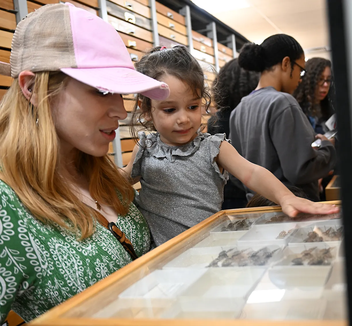 Inna Vishik shows her daughter Arielle, 7, insect specimens at the Bohart Museum of Entomology.