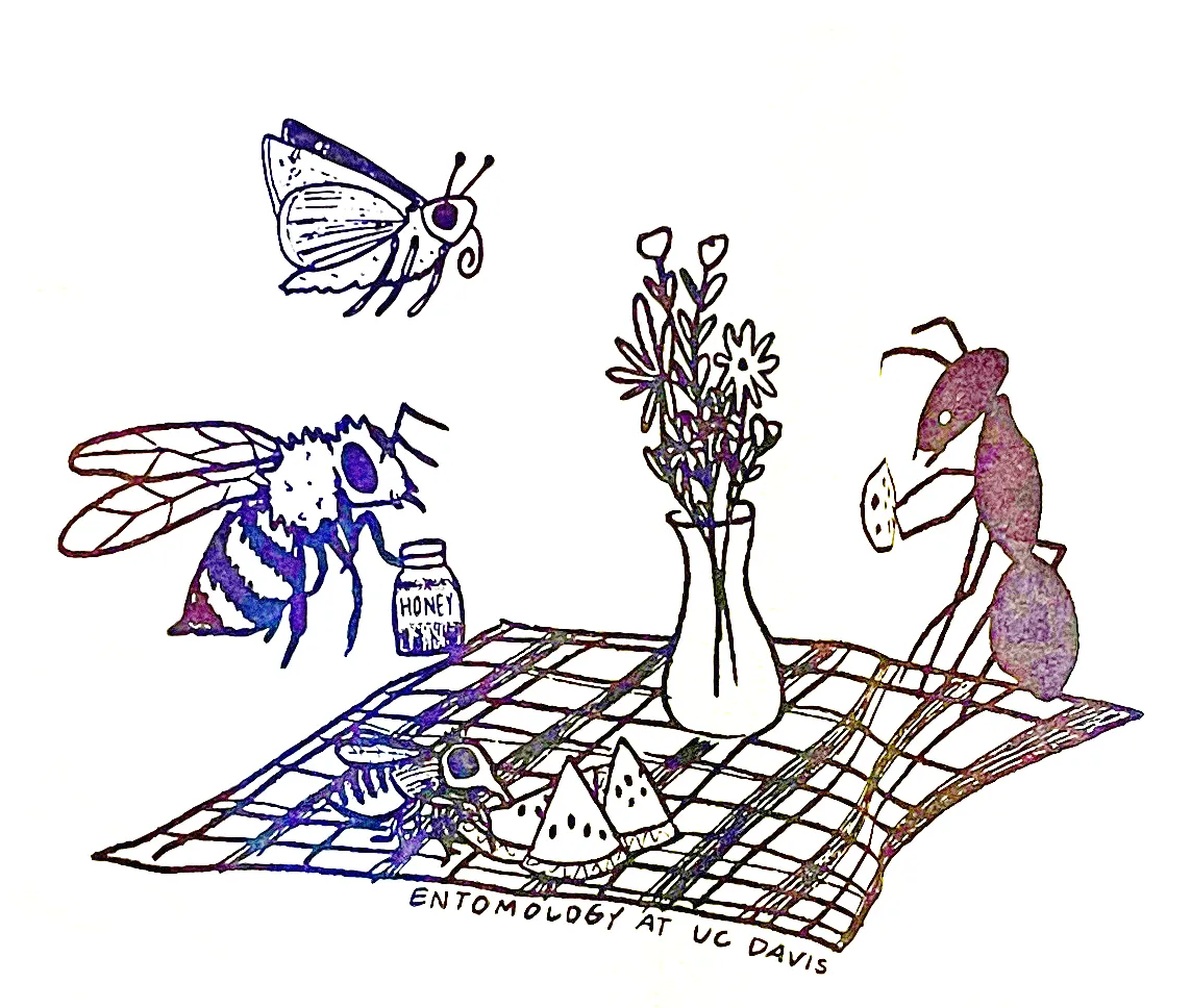 https://entnem.ucdavis.edu/news/uc-davis-picnic-day-lets-go-bugs