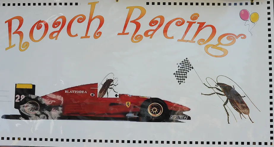 Roach racing sign