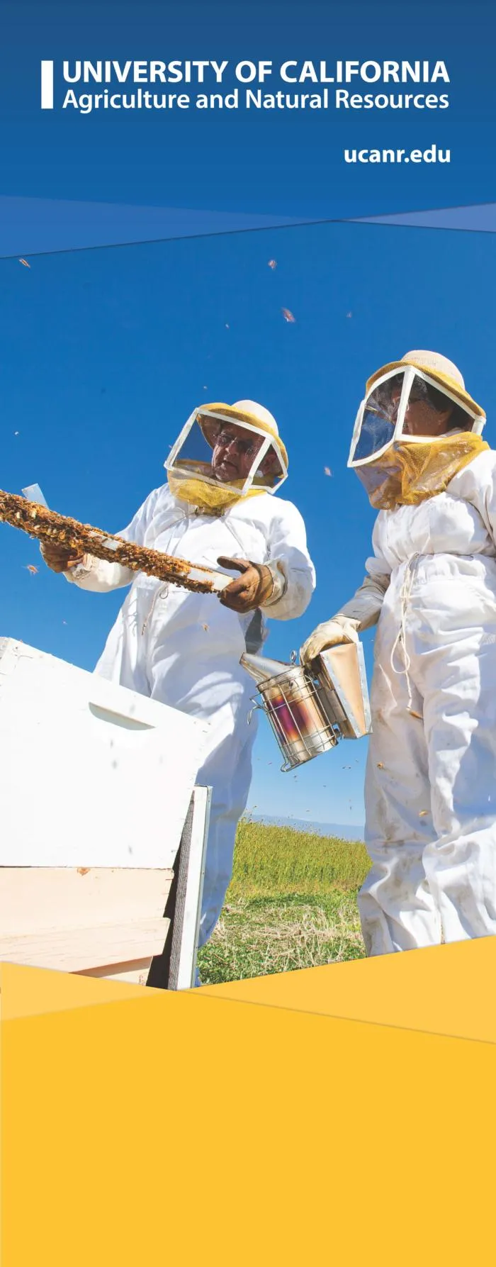 2 people wearing white suits with covering beekeeping