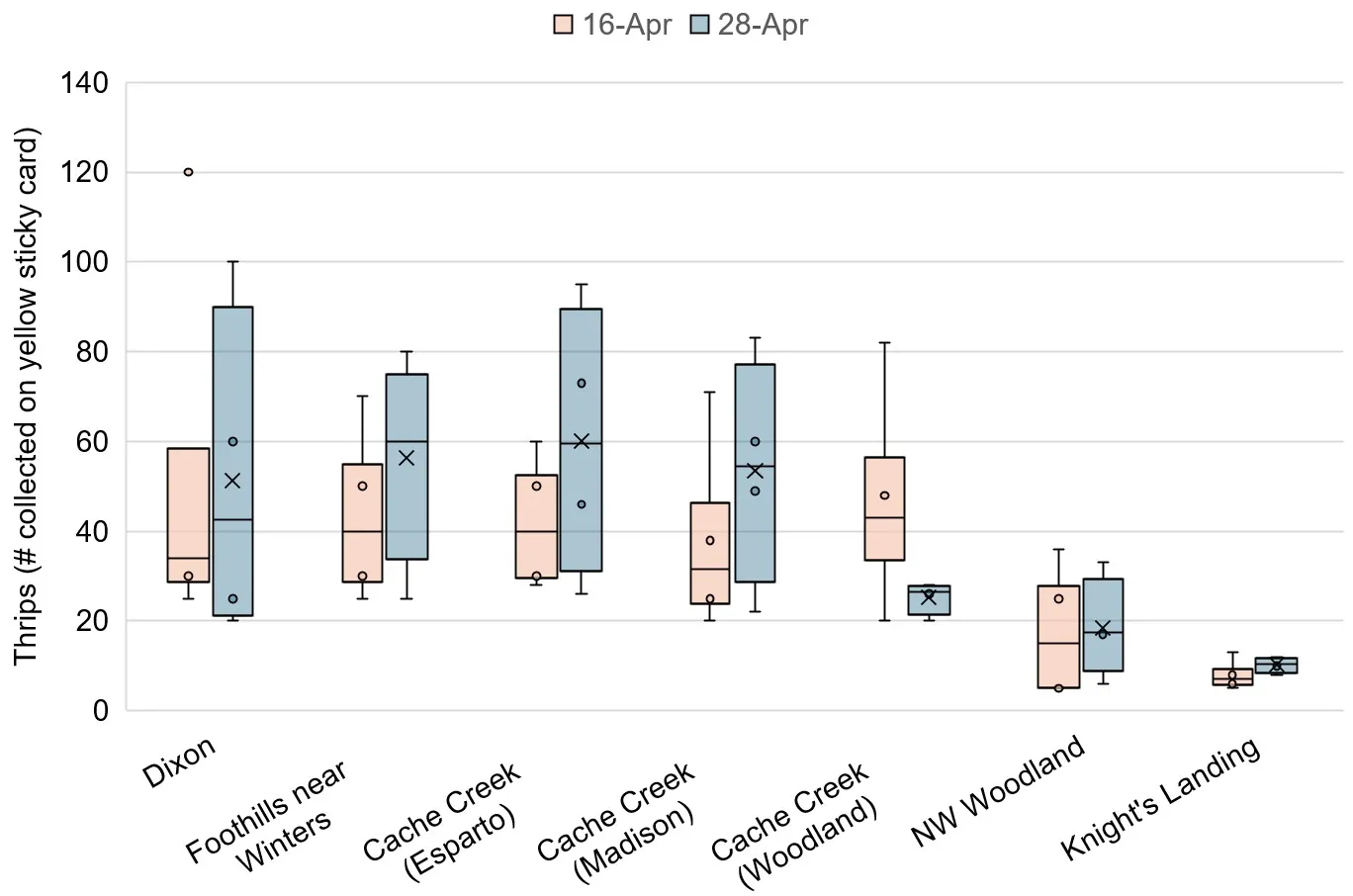 Box plot; Y axis is thrips count, X axis are field locations (Dixon, foothills near Winters, Cache Creek near Esparto, Madison, and Woodland, NW Woodland, and Knight's Landin). Thrips counts range from 20-100 per card and tend to decrease in the field order given (highest in Dixon, lowest in Knight's Landing.) In most, the April 28th cards have tend to have a higher mean thrip number than the April 16th card. 