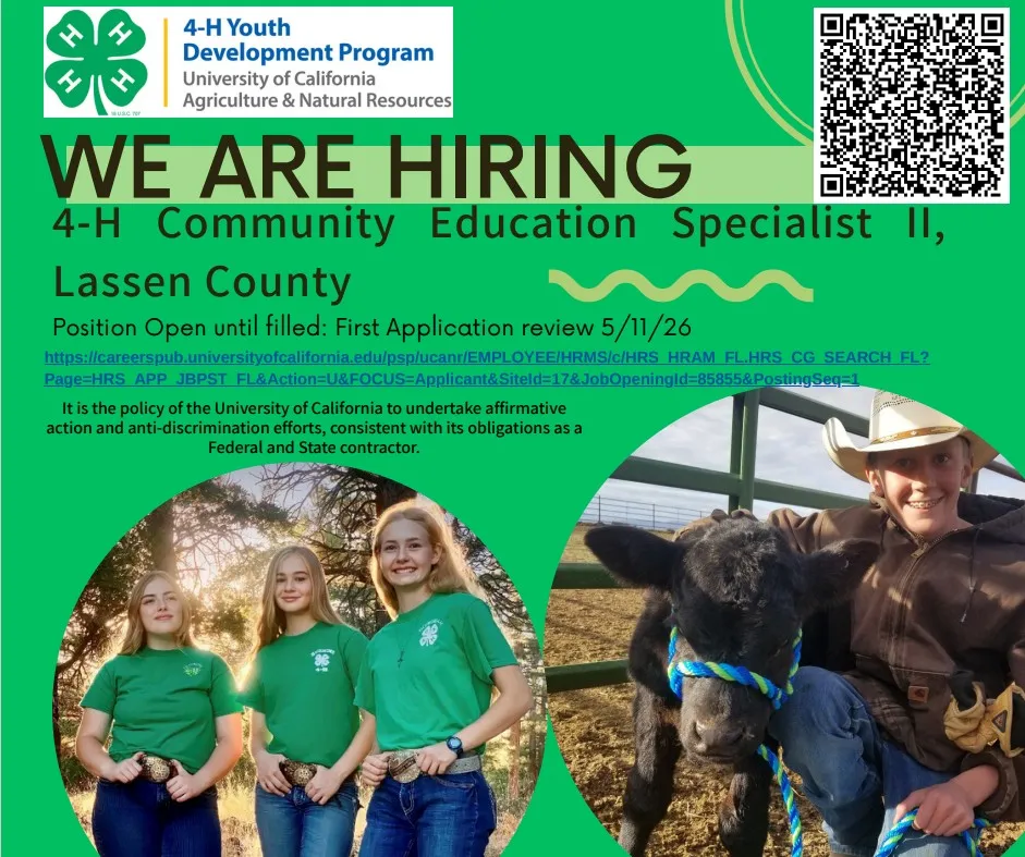 4-H Community Education Specialist II Lassen County Job Flyer