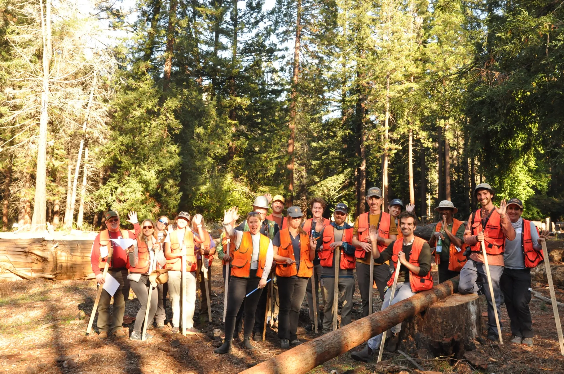 Forest Stewardship workshop participants at an in-person field day.