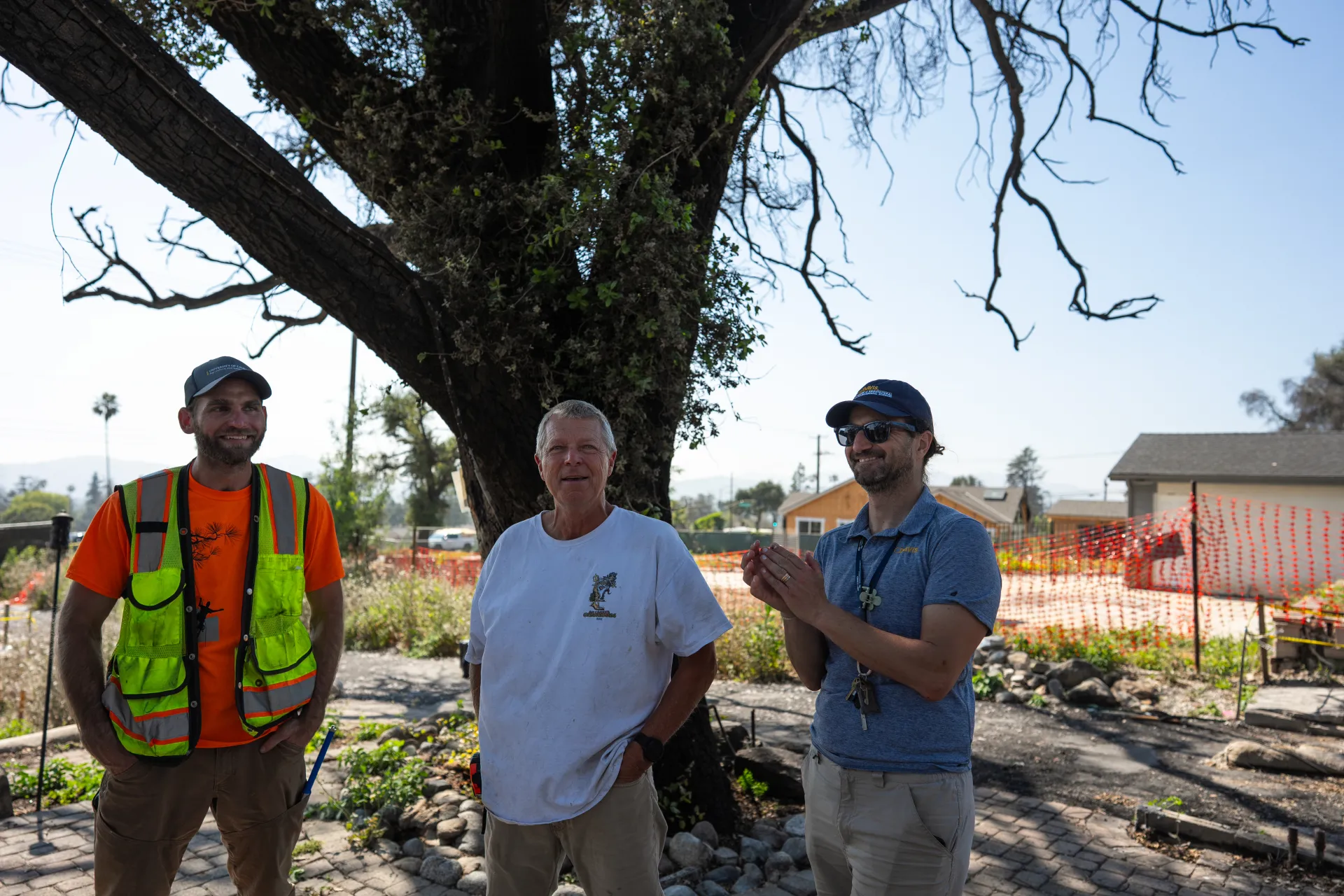 Three people stand in front of a burned oak tree in a backyard